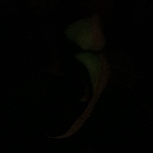 basketball shoes - Picture 8 of 9